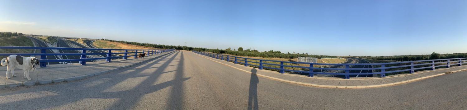 Nuestra Gestión – su éxito