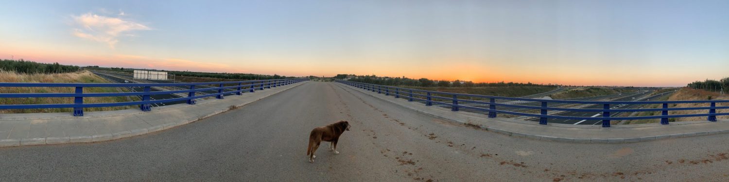 Nuestra Gestión – su éxito